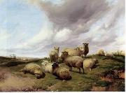 unknow artist Sheep 146 china oil painting reproduction